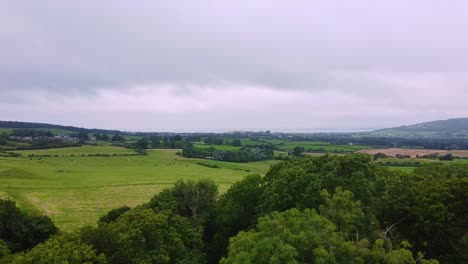 Rising-Aerial-shot-through-trees-revealing-patchwork-green-fields-into-the-cloudy-horizon