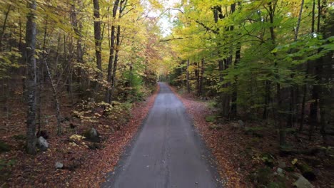New-Hampshire-dirt-road-with-leaves-on-ground-yellow-trees