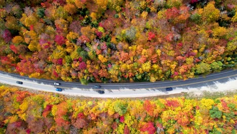 Aerial-view-of-scenic-highway-with-cars-driving-and-peak-fall-colors