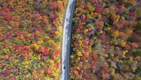 Drone-ascending-over-road-in-forest-with-peak-changing-fall-leaves