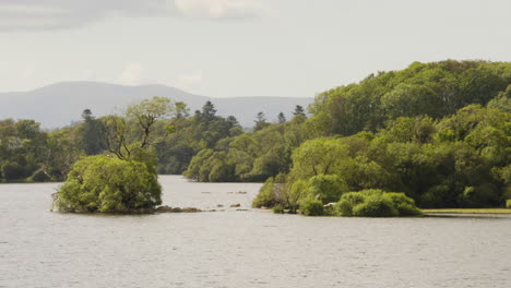 Lough-Leane-Lake-Und-Grünes-Laub-Im-Nationalpark-Killarney-In-Der-Grafschaft-Kerry,-Irland