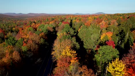 Aerial-view-of-fall-leaves-in-forested-New-England-Countryside