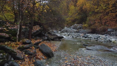 Bergfluss-Wasserfluss-Mit-Roten-Und-Gelben-Bäumen-Herbstlaub-Luftaufnahme