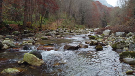 River-water-flow-in-mountain-forest-at-autumn