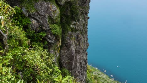 Beautiful-top-down-shot-of-overgrown-mountain-cliff-and-blue-colored-Ocean-during-sunny-day---Te-Whara-Track-Hike-in-New-Zealand