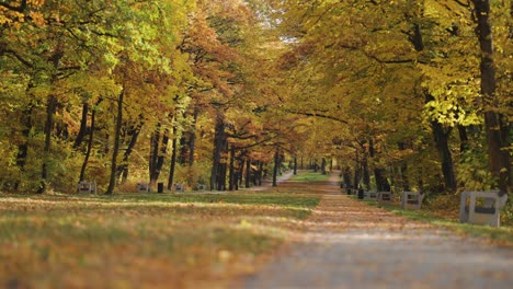 Schöne-Herbstgasse-Im-Park