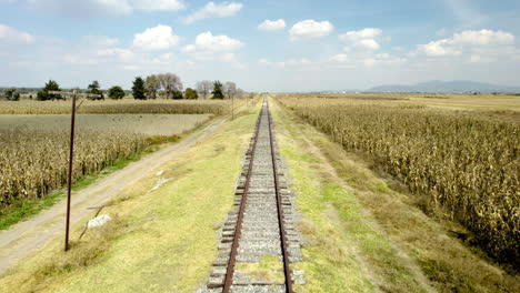 View-of-frontal-view-of-railroad-track-in-mexico-countryside