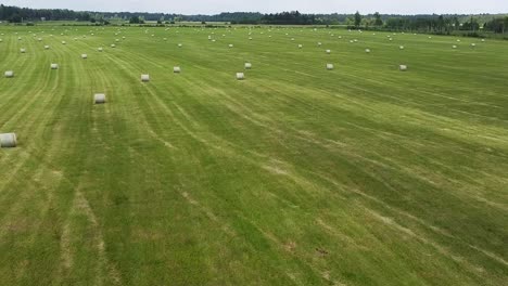 Aerial-clip-of-a-green-field-with-hay-rolls-in-Estonia-in-summer