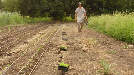Barefoot-farmer-working-in-an-outdoor-agricultural-field,-agribusiness-concept