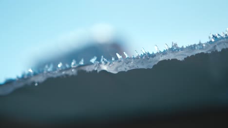 Close-up-view-of-melting-ice-from-a-roof,-in-natural-environnemnt