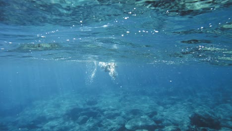 Snorkeling-En-El-Mar-Jónico-De-Las-Islas-Cefalonia-En-Grecia