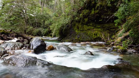 Goye-stream-in-Colonia-Suiza,-Bariloche,-Argentina