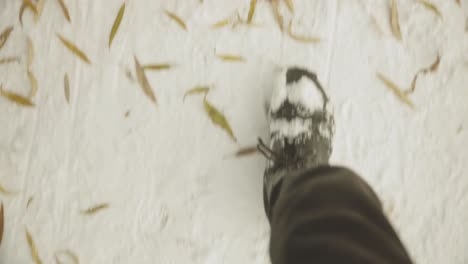 Hombre-Caminando-En-El-Parque-Cubierto-De-Nieve-Durante-El-Invierno.-Punto-De-Vista