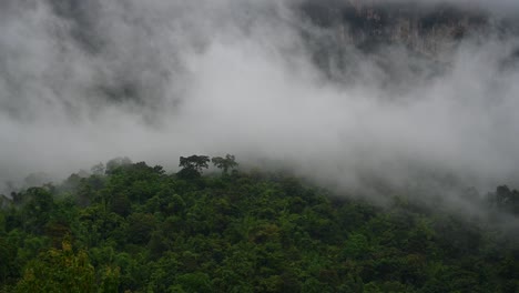 Fog-so-thick-moving-to-the-left-over-a-rainforest-revealing-a-rock-mountain-wall-in-Sai-Yok,-Kanchanaburi,-Thailand