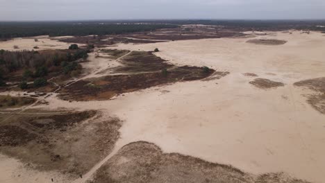 Descending-aerial-view-of-Loonse-en-Drunense-Duinen-sand-dunes-in-The-Netherlands