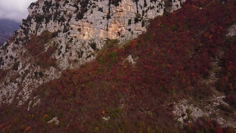 Aerial-forward-view-of-mountains-with-red-vegetation