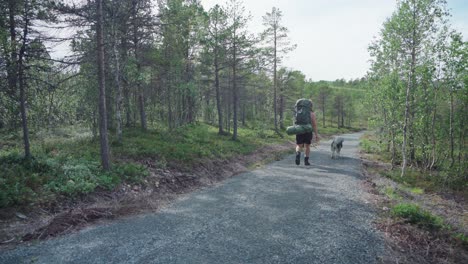 Hombre-Con-Su-Perro-Mascota-Caminando-Por-El-Sendero-A-Través-Del-Bosque-En-El-Parque-Nacional-Anderdalen-En-Senja,-Noruega