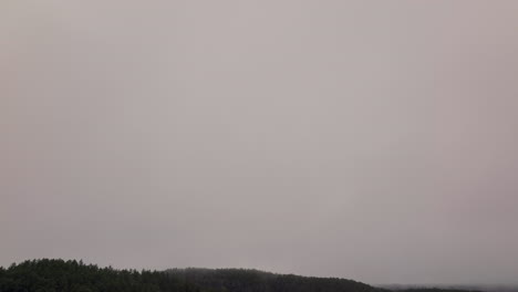 Disparo-De-Drones-Volando-A-Través-De-Una-Densa-Niebla-Para-Revelar-Un-Bosque-En-Escandinavia