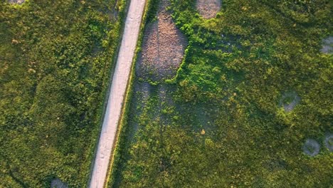 Top-down-aerial-of-a-green-field-with-a-gravel-road-in-Estonia-during-summer-at-sunset