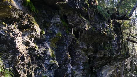 Close-up-of-water-drops-falling-down-rocky-mountain-cliff-in-new-Zealand-national-park-during-summer