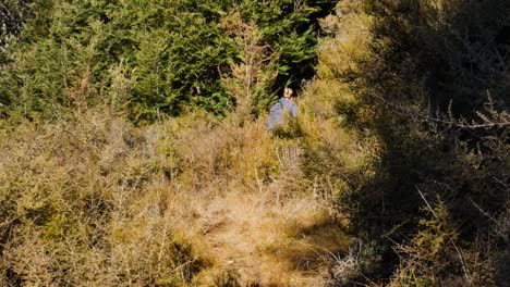 Woman-hiking-through-dense-wilderness-with-drying-plants-during-sunny-day-at-Rees-Valley,Mount-Aspiring-National-Park