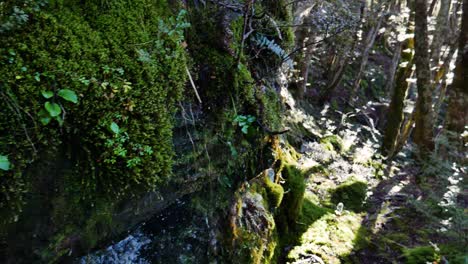 Wassertropfen-Eines-Wasserfalls,-Der-An-Einem-Sonnigen-Tag-Im-Regenwald-Von-Neuseeland-Eine-Bewachsene-Bergwand-Mit-Farn-Und-Moos-Hinunterstürzt---Schwenkschuss