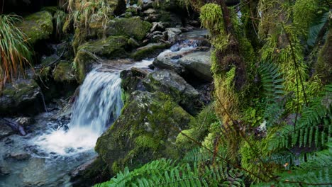 Close-up-pan-shot-of-tropical-Small-Waterfall-flowing-in-mossy-and-idyllic-landscape
