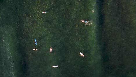 Top-down-aerial-of-surfers-waiting-for-waves-in-a-shallow-rocky-bottom-bay-in-Sayulita,-Mexico
