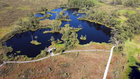 Aerial-drone-clip-zooming-in-on-bog-lakes-in-Rannametsa-Tolkuse-raba-in-Estonia-during-summer