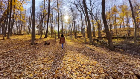 Mädchen-Zu-Fuß-In-Einem-Schönen-Wald-Herbstnachmittag-Sonnenschein-Minnesota