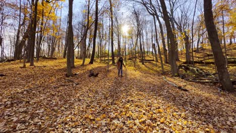 Mädchen-In-Einem-Schönen-Wald-Herbstnachmittag-Sonnenschein-Minnesota