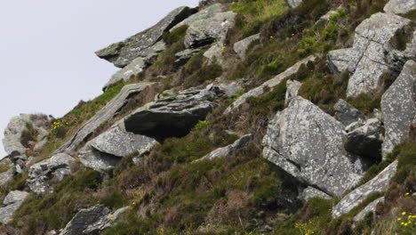 Scenic-rocky-green-texture-landscape-in-Dingle,-Ireland,-Irish-wilderness,-day