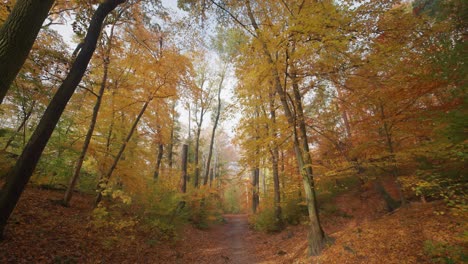Ein-Spaziergang-Auf-Dem-Schmalen-Feldweg-Im-Herbstwald