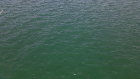 Luftaufnahmen-über-Einem-Fischerboot-In-Der-Mitte-Des-Ozeans,-Das-In-Chonburi,-Thailand,-Nach-Rechts-Gleitet