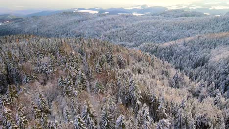 Luftbild-Auf-Den-Schneebergen-Im-Winter