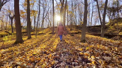 Leaf-falling-autumn-forest-girl-walking-Minnesota