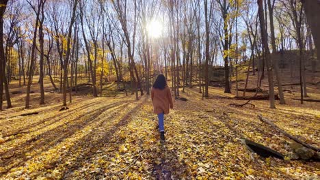 Reisevideo-Mädchen,-Das-Im-Herbst-In-Minnesota-Auf-Einem-Beautfil-wald-Spazieren-Geht