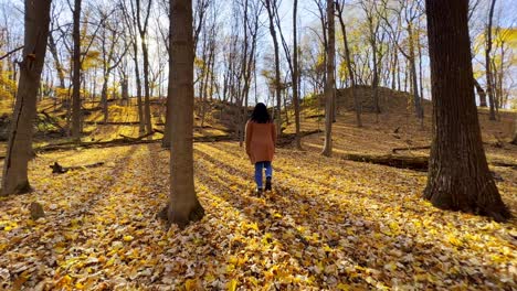 Herbst-In-Minnesota-Reisevideo-Mädchen,-Das-Auf-Einem-Wald-Spazieren-Geht