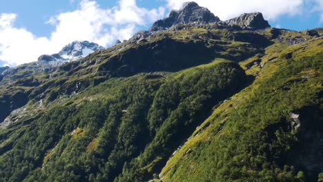 Beautiful-green-growing-mountains-and-snowy-mountaintops-during-sunlight-in-autumn---Fiordland-National-Park,NZ