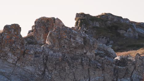 Formaciones-Rocosas-De-Dolomita-De-Trollholmsund,-Noruega