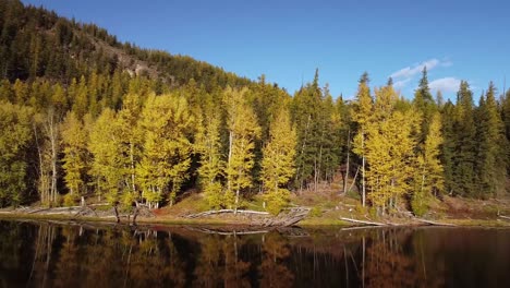 Scenic-autumn-trees-next-to-lake-on-a-bluebird-day,-drone-parralax-shot