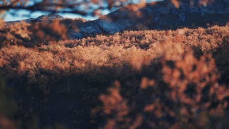 Autumn-in-the-Norwegian-mountains