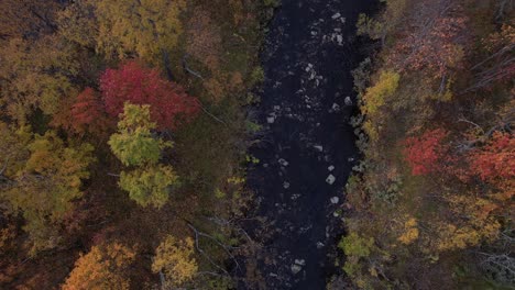 Herbstlaub-Von-Oben-Von-Einer-Drohne