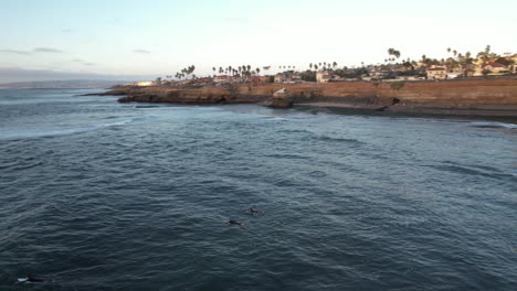 Luftbild-Von-Surfern-Auf-Surfbrettern-Im-Wasser-Des-Pazifischen-Ozeans-An-Den-Klippen-Von-San-Diego-Bei-Sonnenuntergang,-Drohnenaufnahme,-Kalifornien,-USA