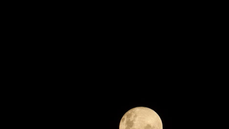 Timelapse-of-golden-full-moon-slowly-rising-against-pitch-black-night-sky