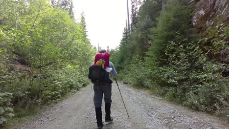 Hiker-walking-down-a-Gravel-Logging-Road,-Vancouver-Island,-Canada