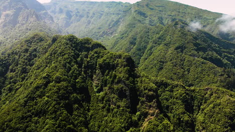 Aerial-View-Of-Tropical-Lush-Forest-In-Madeira-Island-Portugal---drone-shot