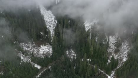 Overhead-aerial-of-a-snow-covered-forest-in-Snoqualmie-Pass