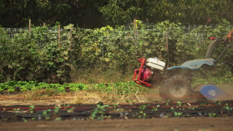 Close-up-of-a-farmer-man-tilling-organic-matter-ground-with-red-tiller