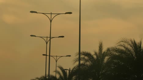 Silhouette-Of-Palm-Trees-And-Lampposts-Against-Orange-Sunset-Skies